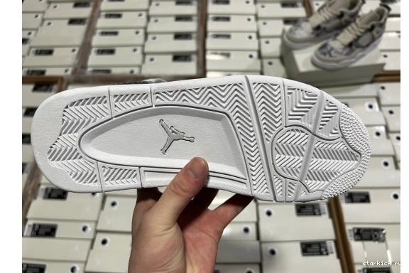Retro  819139-030 Snakeskin Jordan  4 819139-030  0725